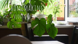 35 Homemaking vlog  daily cleaning habbits simple meals inspiration 🥞 from basic ingredients [upl. by Eleni392]