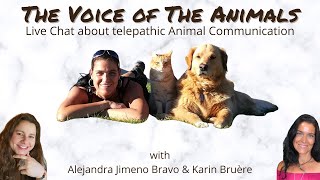 THE VOICE OF THE ANIMALS  Animal Communication [upl. by Madelyn]