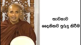 VenUdudumbara Kashyapa Thero Nivan Maga භාවනාව දෛනිකව පුරුදු කිරීම [upl. by Lina940]