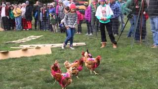 Chicken Race at Duntroon Hall [upl. by Irodim830]