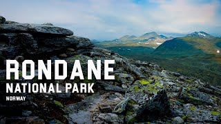 Norway like You never seen before Weekend in Rondane National Park in summer time [upl. by Siaht772]