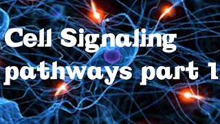 Cell Signaling Pathways part 1 [upl. by Suzanne]