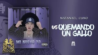 05 Natanael Cano  Quemando Un Gallo Official Audio [upl. by Fitzsimmons]