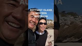 Rottnest Island Western Australia travel rottnestisland exploreaustralia [upl. by Nancie118]