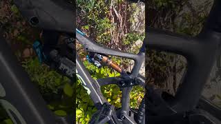 Orbea Occam M30 LT 29 carbon mtb mtblife mountainbike [upl. by Pears270]