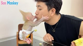 The cutest baby monkey on youtube is getting smarter and more mature [upl. by Hindu35]