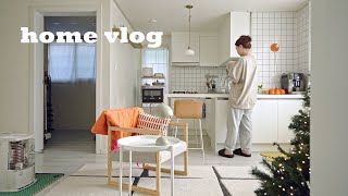 일상vlog  눈 오는 겨울날 집에서 포근한 시간 느리고 편안한 아침과 밤 [upl. by Llekram]