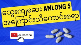 နာမည်ကြီးသွေးကျဆေး Amlong5 အကြောင်း [upl. by Immij]