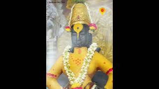 shree Vithal Darshan  Pandharpur Live Darshan vithalrukaminidarshan shreevithaldarshan [upl. by Caneghem223]