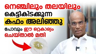 നെഞ്ചിലും തലയിലും കെട്ടികിടക്കുന്ന കഫം അലിഞ്ഞു പോവും ഈ ഒറ്റകാര്യം ചെയ്താൽ മതി [upl. by Johnathan]