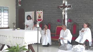 03112024  Adoração  Celebração da Palavra Maria Aparecida  Comunidade Católica Bom Jesus [upl. by Kirima491]