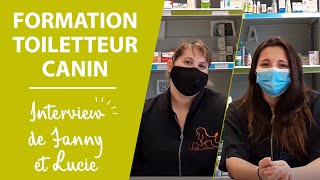 Formation Toiletteur canin et félin CTM  Sup Santé Animale [upl. by Marla437]