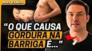 O QUE CAUSA GORDURA NA BARRIGA  Muzy Explica [upl. by Nilesoj]