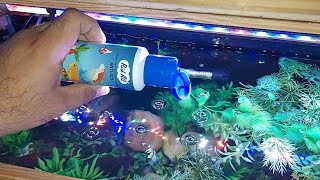 Methylene Blue Uses In Aquarium For Your Fish  Methylene Blue का Treatment कब देना चाहिए fish को [upl. by Chelsie]