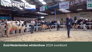 ZuidNederlandse wintershow 2024 zwartbont [upl. by Ecnadnac]