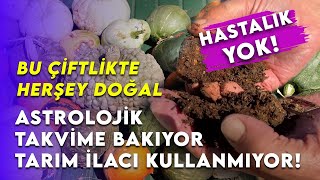 Astrolojik tarım ile tarım ilacı kullanmıyor doğa tarımhaber [upl. by Nylek]