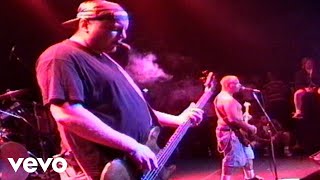 Sublime  Badfish Live At The Palace1995 [upl. by Nerrej]