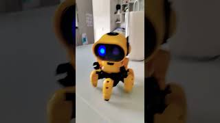 Our new pet Tobbie the Robot robot tobbie fun [upl. by Gonagle940]