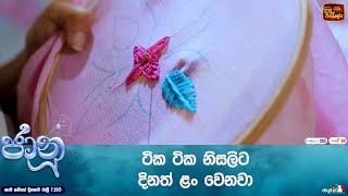 ටික ටික නිසලිට දිනත් ළං වෙනවා [upl. by Silvanus]