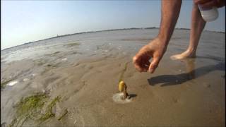 Comment capturer un couteau dans le sable avec du sel [upl. by Burrow]