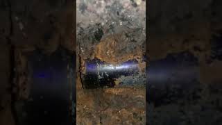 Live excavation of a cobalt blue appocathory glass found bottle digging Glasgow Scotland [upl. by Nahtanaj]