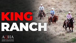 King Ranch Wins Top AQHA Honor [upl. by Farrand]