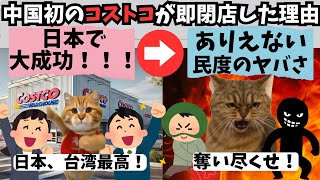 オープン初日に閉店！？中国コストコで何が起こったのか？ ＃猫ミーム ＃実話 ＃中国 ＃コストコ ＃失敗 ※事実に基づいたフィクションです [upl. by Barclay473]