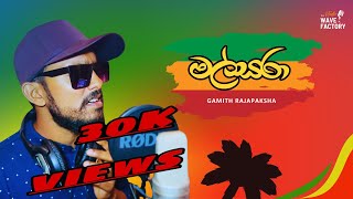 Malsara මල්සරා  Cover By Gamith Rajapaksha  Official Cover 2024 [upl. by Savitt]