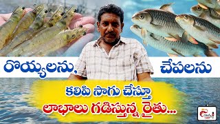 Successful polyculture farmer srinivas rao story  polyculture fish farming  shrrimp farming [upl. by Htrahddis]