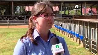 01102015  Nutrição em Bezerros Carrapatos Mastiplus BR  Ourofino em Campo [upl. by Waring]