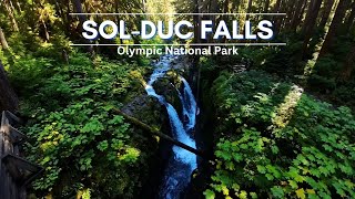 Sol Duc Falls  Olympic National Park WA  Road Trip [upl. by Cornia811]