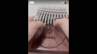 红河谷 seeds kalimba 24 key kalimbakalimbasongsmarimbas [upl. by Hertzog]