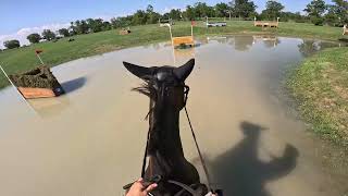 GoPro Tullymurry Fifi Intermediate Championship  2024 American Eventing Championships [upl. by Elac636]