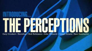 04 The Perceptions  Rollin amp Tumblin Freestyle Records [upl. by Glendon]