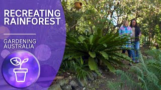 Bringing the rainforest back  Native plants  Gardening Australia [upl. by Marlee442]