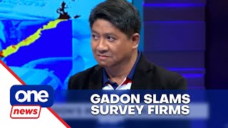 Gadon vs survey firms [upl. by Assenar]