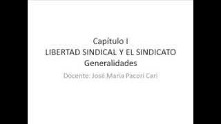 DERECHO SINDICAL CAPITULO I LIBERTAD SINDICAL Y SINDICATO [upl. by Him]