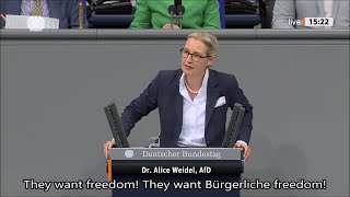 Alice Weidel November 13 2024 Government and Politics [upl. by Sally]