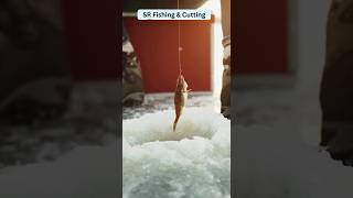 Ice Hook fishing video  shorts fishing amazing amazingfishcutting [upl. by Reggis]