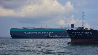 CAR CARRIER WALLENIUS WILHELMSEN [upl. by Llehcar222]