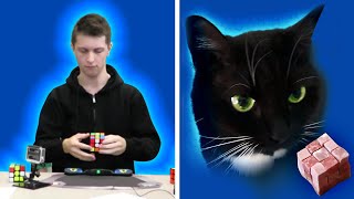 Feliks Zemdegs VS Felix The Cat  Rubiks Cube Battle Challenge [upl. by Lunna]