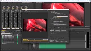 CuteDCP for Premiere Pro [upl. by Housum]