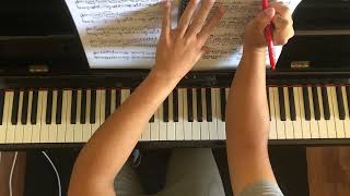 DAY TWO Chopin Etude Op 10 No 3 and Liszt Liebestraum No 3 [upl. by Ellimak]