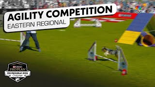 Incredible Dog Challenge Small Dog Agility Eastern Regional  NBC Sports [upl. by Akihsan]