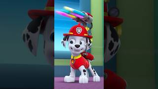 PAW Patrol  La Pat Patrouille  La Pat Patrouille chante la chanson de lamitié  💗 Shorts [upl. by Clay]