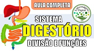 Sistema Digestório  Divisões anatômicas e órgãos digestivos  Anatomia Humana [upl. by Ellerred]