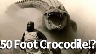 50 Foot Crocodile Seen in the Congo [upl. by Marabel461]