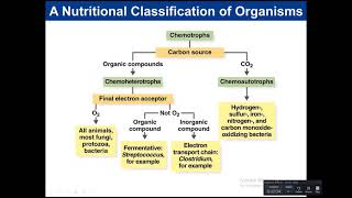 Chapter 6 Microbial Growth new [upl. by Acquah]