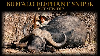 Buffalo amp Elephant Sniper  Valley of Generations Part 2  UNTAMED Episode 7 [upl. by Eimam]