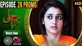 Karam Jali  Last EP 28  Aplus  Daniya Humayun Ashraf  Pakistani Drama  C3N1 [upl. by Erdnad]